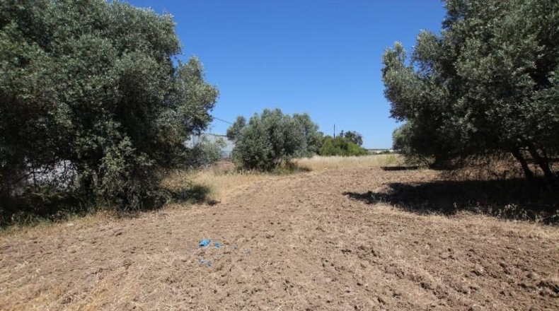 Huelva - Aljaraque - 4600m2