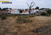 Urban land for sale on España, Valencia de Alcántara, ref: TR113751 photo