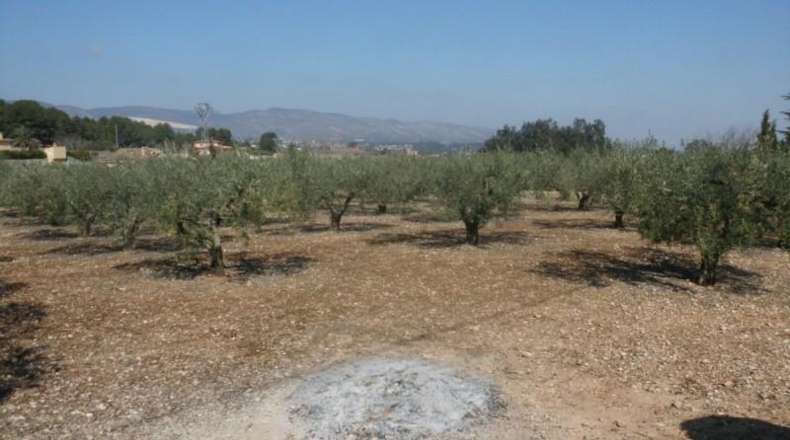 València - Onteniente - 6656m2