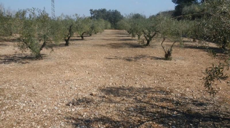 València - Onteniente - 6656m2