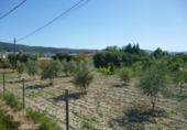 Non-developable land for sale on España, Ontinyent, ref: TR113800 photo