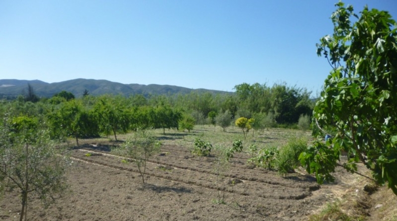 València - Onteniente - 3804m2