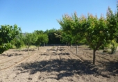 Non-developable land for sale on España, Ontinyent, ref: TR113800 photo