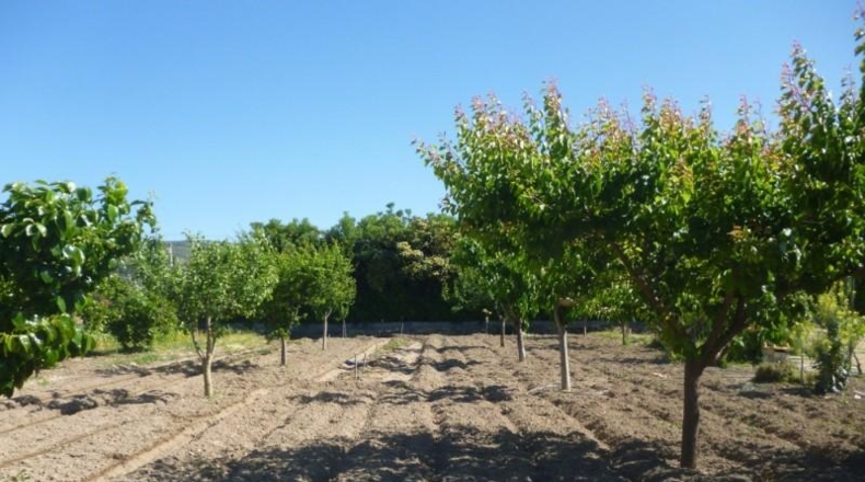 València - Onteniente - 3804m2