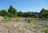 Non-developable land for sale on España, Ontinyent, ref: TR113800 photo