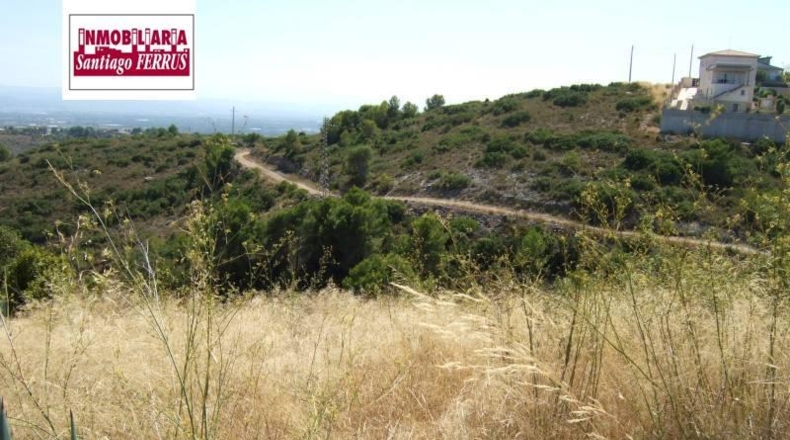 València - Alginet - 841m2