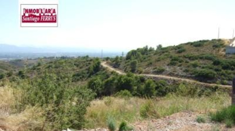 València - Alginet - 841m2
