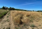 Land suitable for development for sale on España, Camponaraya, ref: TR114225 photo