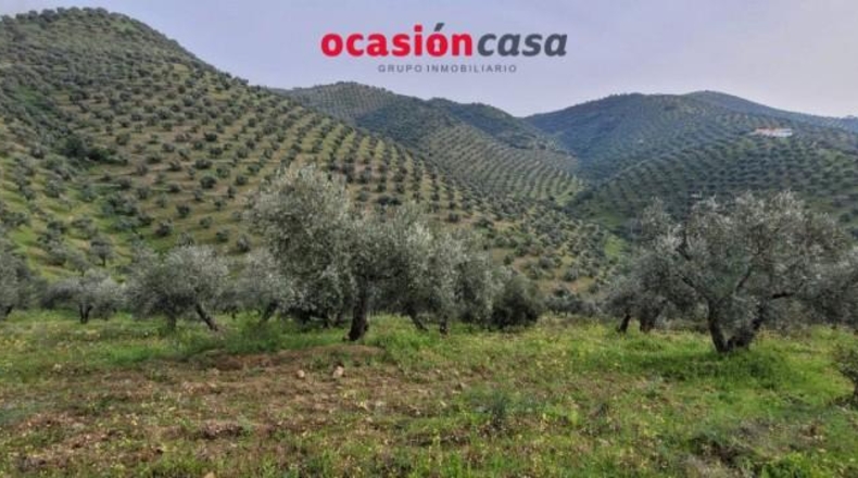Córdoba - Pozoblanco - 48000m2