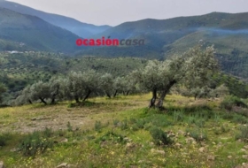 Pozoblanco 48000&nbsp;m² 