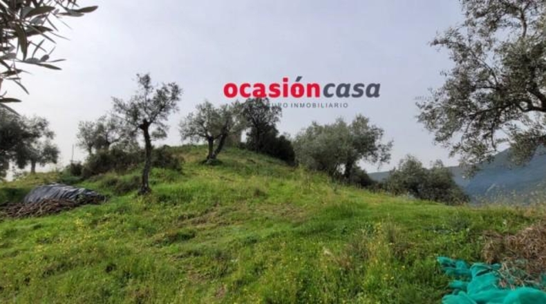 Córdoba - Pozoblanco - 48000m2