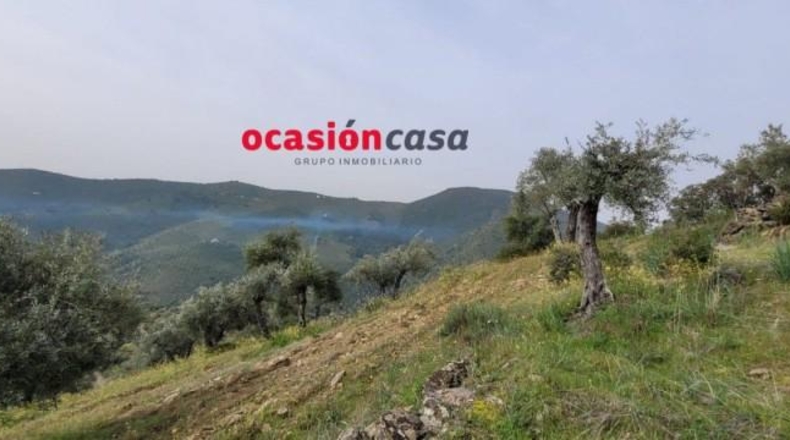 Córdoba - Pozoblanco - 48000m2
