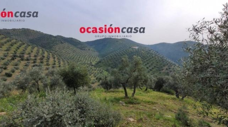 Córdoba - Pozoblanco - 48000m2