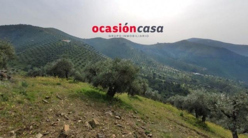 Córdoba - Pozoblanco - 48000m2