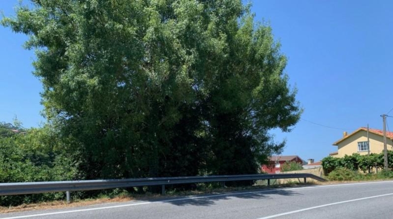 La Corunya - Sandrenzo - 850m2