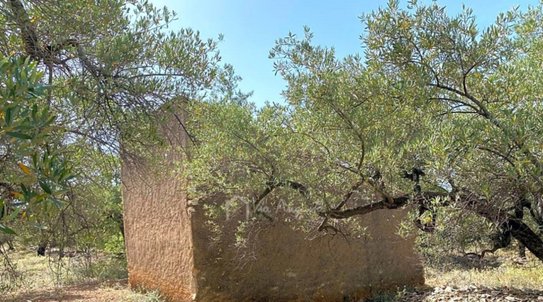 Tarragona - el Perelló - 20793m2