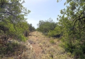 Terreno no urbanizable en venta en la España, el Perelló, ref: TR117962 foto