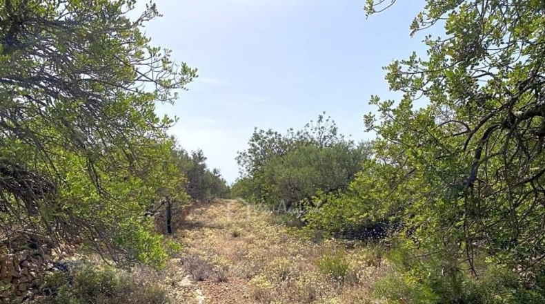 Tarragona - el Perelló - 20793m2