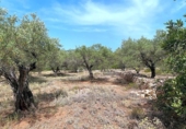 Terreno no urbanizable en venta en la España, el Perelló, ref: TR117962 foto