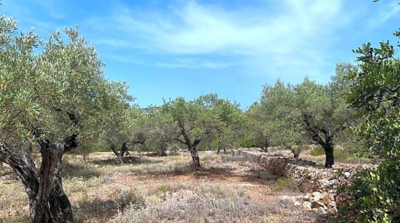 Tarragona - el Perelló - 20793m2