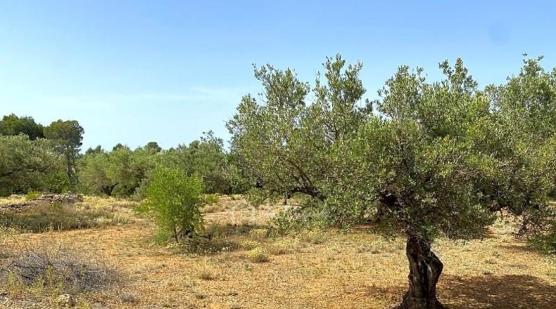 Tarragona - el Perelló - 20793m2