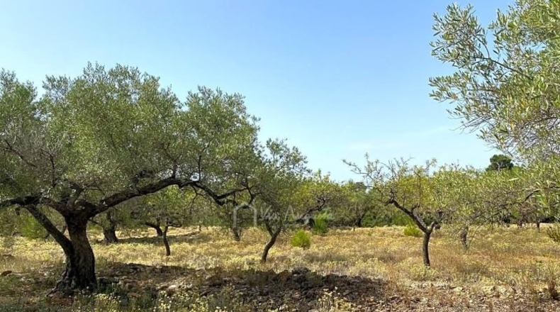 Tarragona - el Perelló - 20793m2
