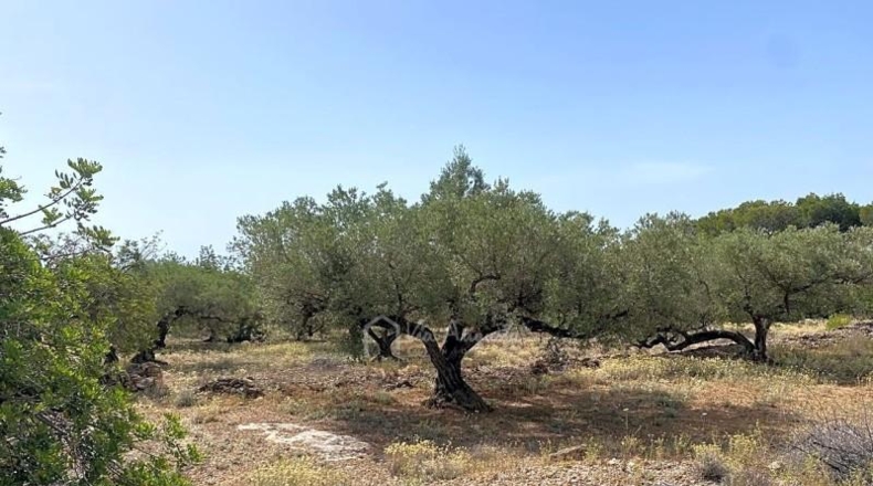 Tarragona - el Perelló - 20793m2