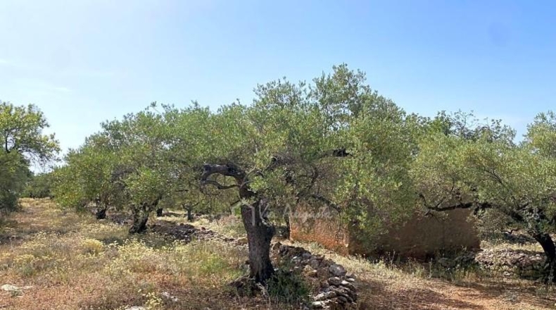 Tarragona - el Perelló - 20793m2