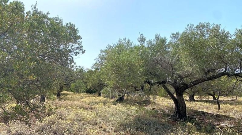 Tarragona - el Perelló - 20793m2