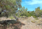 Terreno no urbanizable en venta en la España, el Perelló, ref: TR117962 foto