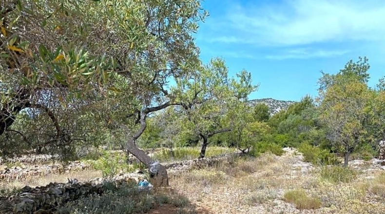 Tarragona - el Perelló - 20793m2
