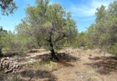 Terreno no urbanizable en venta en la España, el Perelló, ref: TR117962 foto