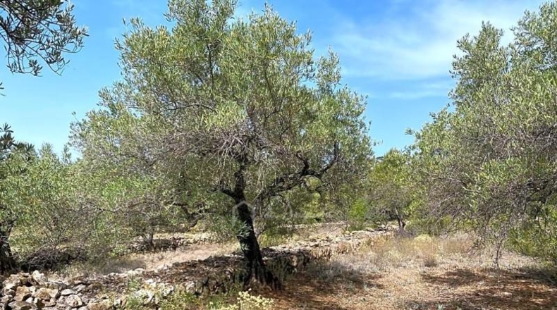 Tarragona - el Perelló - 20793m2