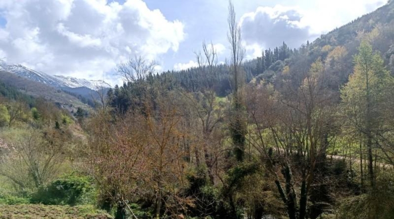 Cantàbria - Potes - 229m2