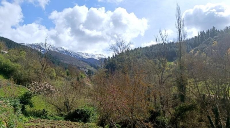 Cantàbria - Potes - 229m2
