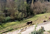 Sòl urbà en venda a la España, Potes, ref.: TR118343 foto