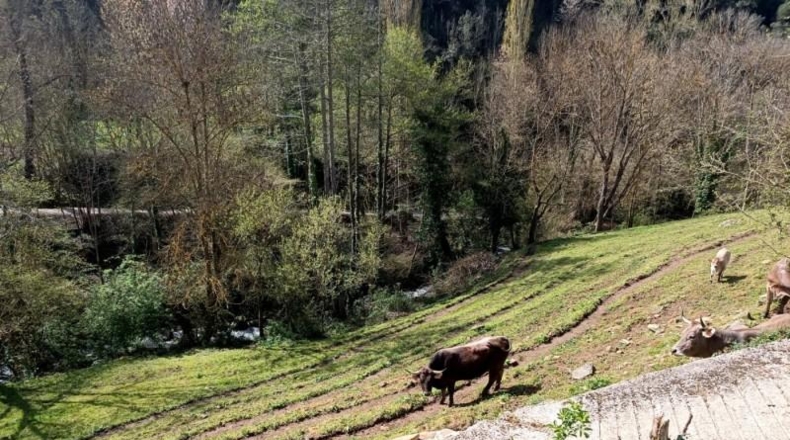 Cantàbria - Potes - 229m2