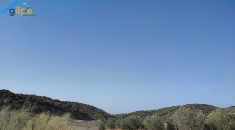 Seville - Morón de la Frontera - 95931m2