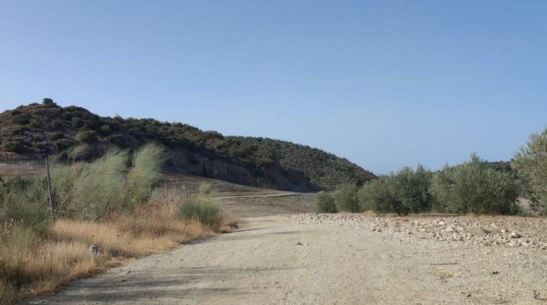 Seville - Morón de la Frontera - 95931m2