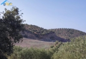 Terreny no urbanitzable en venda a la España, Morón de la Frontera, ref.: TR118541 foto