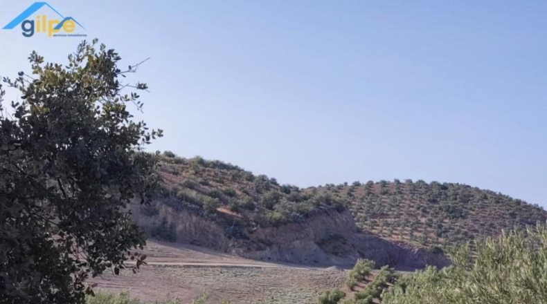 Seville - Morón de la Frontera - 95931m2