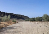 Terreny no urbanitzable en venda a la España, Morón de la Frontera, ref.: TR118541 foto