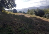 Non-developable land for sale on España, Villaverde, ref: TR118698 photo