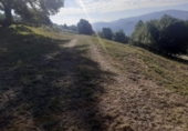 Non-developable land for sale on España, Villaverde, ref: TR118698 photo