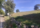 Non-developable land for sale on España, Villaverde, ref: TR118698 photo