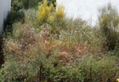 Sòl urbà en venda a la España, Ubrique, ref.: TR306925 foto