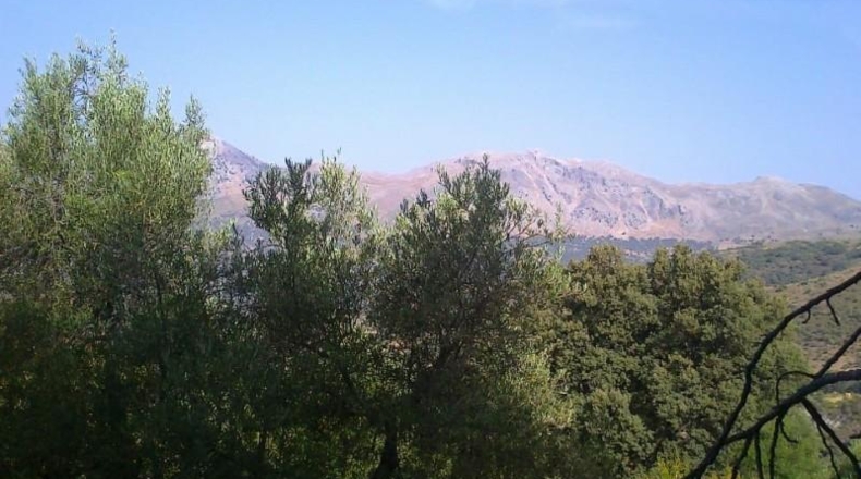 Málaga - Atajate - 40165m2