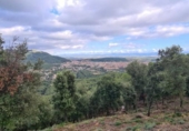 Parcel·la urbanitzable en venda a la España, Castellar del Vallès, ref.: TR119259 foto