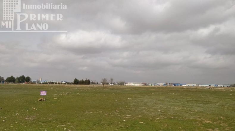 Ciudad Real - Tomelloso - 1249m2