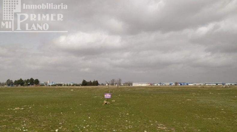Ciudad Real - Tomelloso - 1249m2